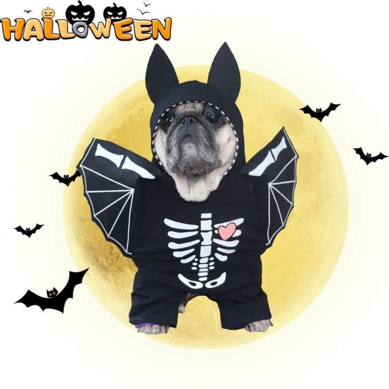 Déguisement d'Halloween /Vêtement chien / Pour l'Halloween inoubliable - Jappy Toutou
