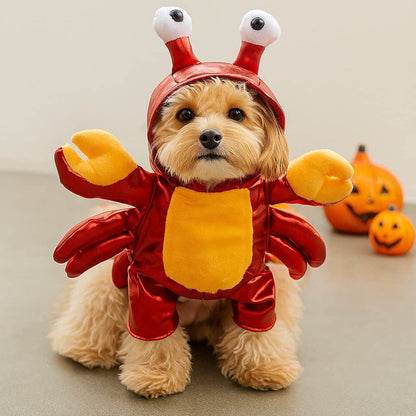 Déguisement d'Halloween /Vêtement chien / Pour l'Halloween inoubliable - Jappy Toutou