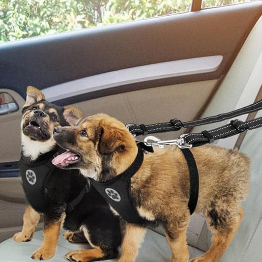 Double laisse pour chien - DuoSecur™ - La sécurité à double sens pour vos fidèles compagnons - JappyToutou