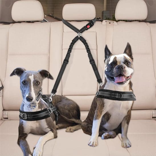 Double laisse pour chien - DuoSecur™ - La sécurité à double sens pour vos fidèles compagnons - JappyToutou