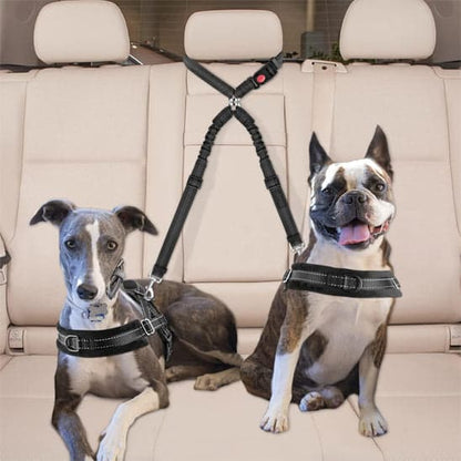 Double laisse pour chien - DuoSecur™ - La sécurité à double sens pour vos fidèles compagnons - JappyToutou