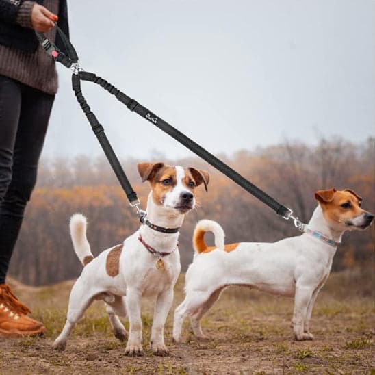 Double laisse pour chien - DuoSecur™ - La sécurité à double sens pour vos fidèles compagnons - JappyToutou