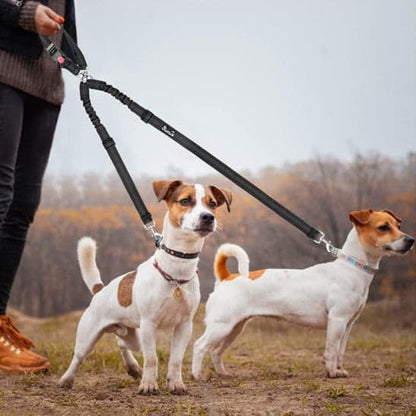 Double laisse pour chien - DuoSecur™ - La sécurité à double sens pour vos fidèles compagnons - JappyToutou