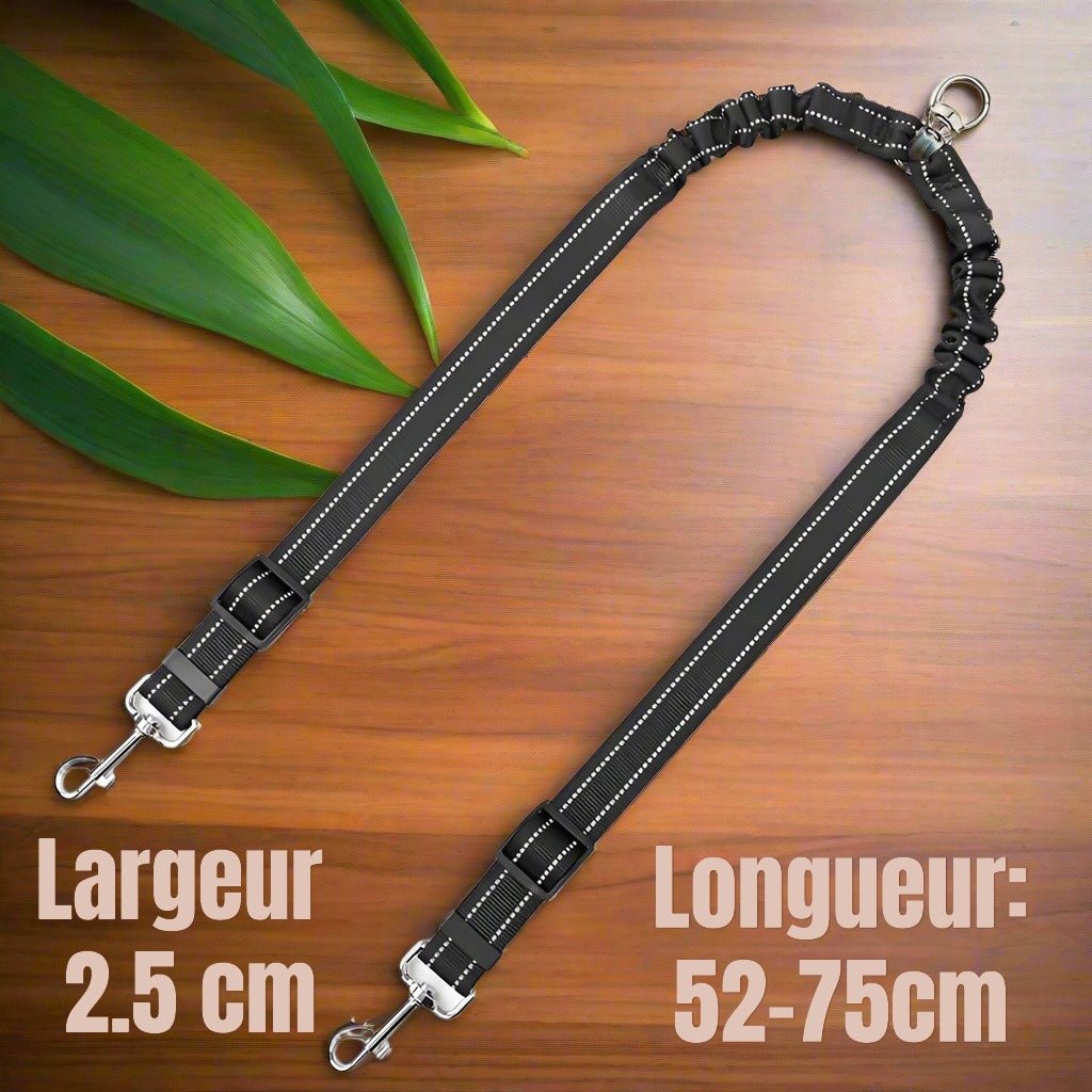 Double laisse pour chien - Laisse'2'Go™ : Promenades simplifiées pour deux chiens - Jappy Toutou