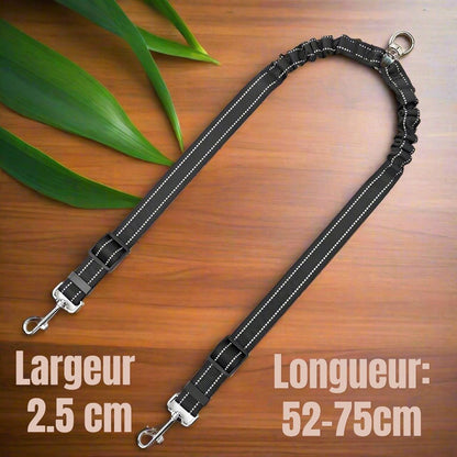 Double laisse pour chien - Laisse'2'Go™ : Promenades simplifiées pour deux chiens - Jappy Toutou