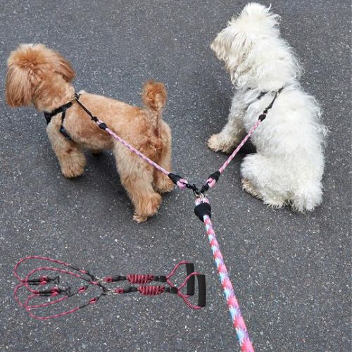 double laisse pour chien sans enchevêtrement