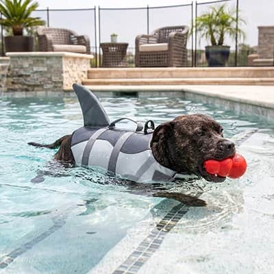 Gilet de sauvetage Chien - Capitaine Canin™ - Jappy Toutou