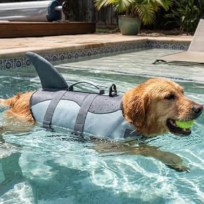 Gilet de sauvetage Chien - Capitaine Canin™ - Jappy Toutou