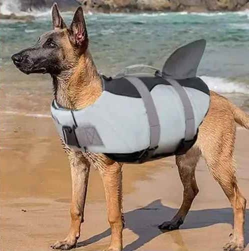 Gilet de sauvetage Chien - Capitaine Canin™ - Jappy Toutou