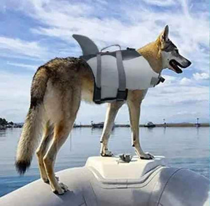 Gilet de sauvetage Chien - Capitaine Canin™ - Jappy Toutou
