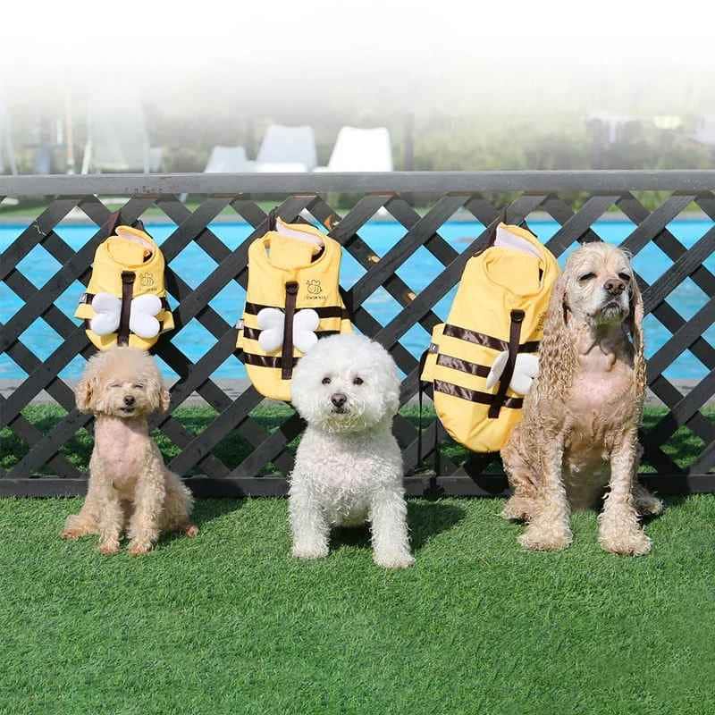 Gilet de sauvetage chien - Matelot Canin™ - Jappy Toutou