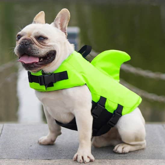 Gilet de sauvetage chien - Pattes au Large™ - Jappy Toutou