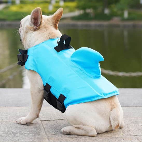 Gilet de sauvetage chien - Pattes au Large™ - Jappy Toutou