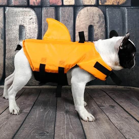 Gilet de sauvetage chien - Pattes au Large™ - Jappy Toutou