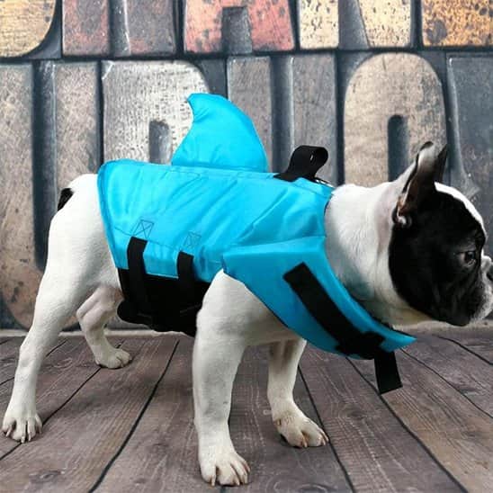 Gilet de sauvetage chien - Pattes au Large™ - Jappy Toutou