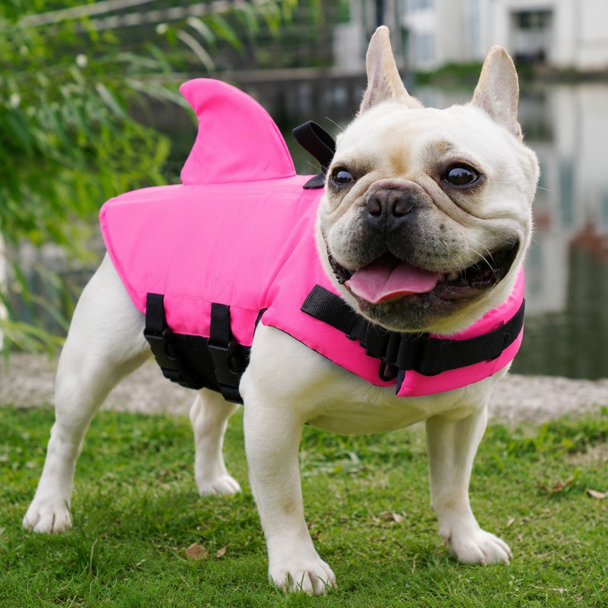 Gilet de sauvetage chien - Pattes au Large™ - Jappy Toutou