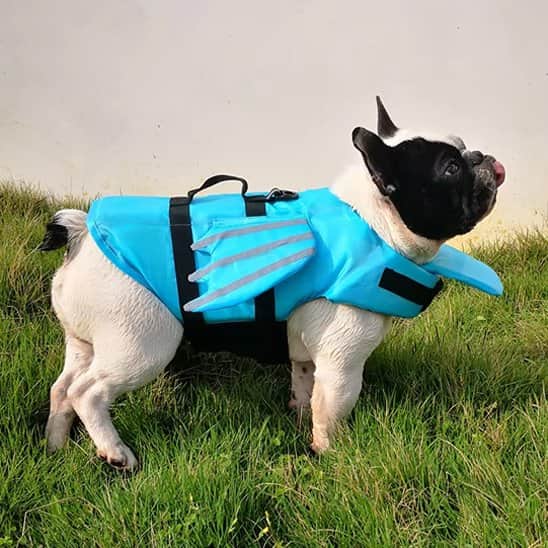 Gilet de sauvetage chien | Rivière & Truffe™ - Jappy Toutou