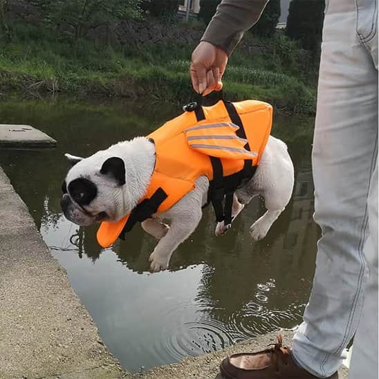 Gilet de sauvetage chien | Rivière & Truffe™ - Jappy Toutou