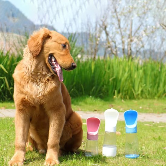 Gourde chien • JappyAqua™ : Nettoyage simplifié