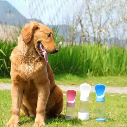Gourde chien | JappyAqua™ Portable Étanche - Jappy Toutou