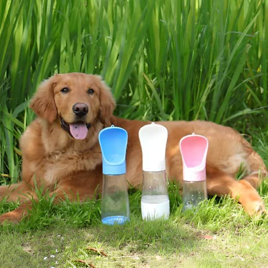Gourde chien | JappyAqua™ Portable Étanche - Jappy Toutou
