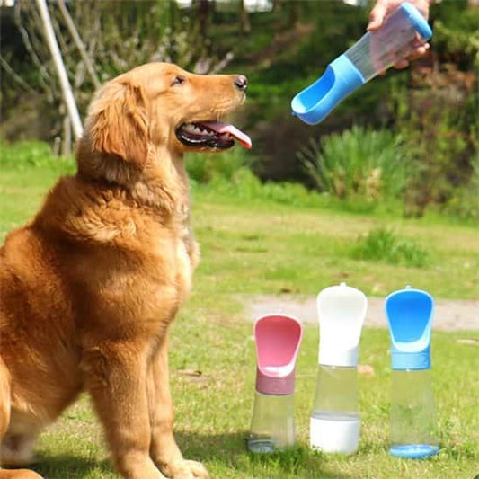 Gourde chien | JappyAqua™ Portable Étanche - Jappy Toutou