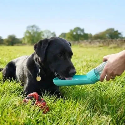 Gourde Chien • ToutouBoit™ - Jappy Toutou