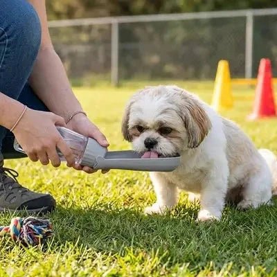 Gourde Chien • ToutouBoit™ - Jappy Toutou
