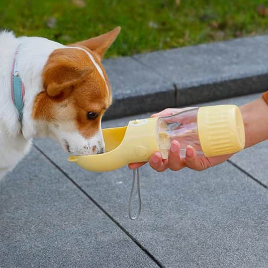 Gourde pour chien | JappyFontaine™ Portable - Jappy Toutou