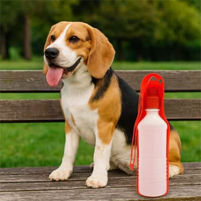 Gourde pour Chien | JappyGorgée™ - Jappy Toutou