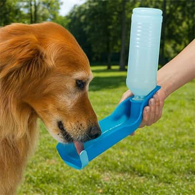 Gourde pour Chien | JappyGorgée™ - Jappy Toutou