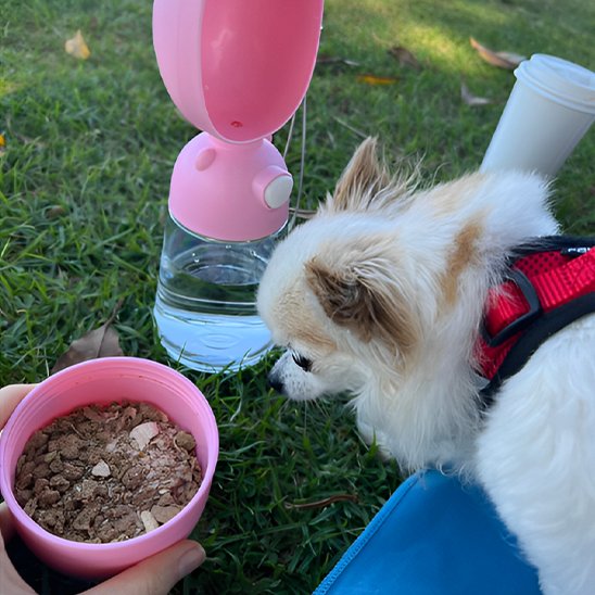 Gourde pour chien • JappyGourde™: Fermeture étanche Design 2-en-1