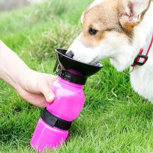 Gourde pour chien | JappyHydratou™ - Jappy Toutou