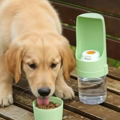 Gourde pour Chien | JappyOasis™ - Jappy Toutou