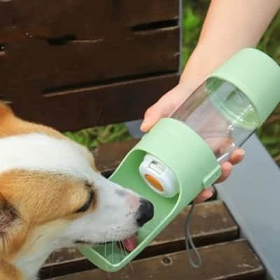 Gourde pour Chien | JappyOasis™ - Jappy Toutou