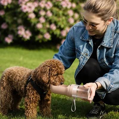 Gourde pour Chien | JappyOasis2™ - Jappy Toutou