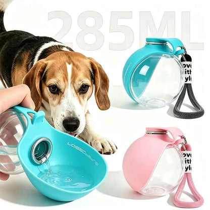 Gourde pour chien | JappySplash™ - Jappy Toutou