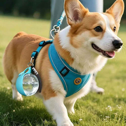 Gourde pour chien | JappySplash™ - Jappy Toutou