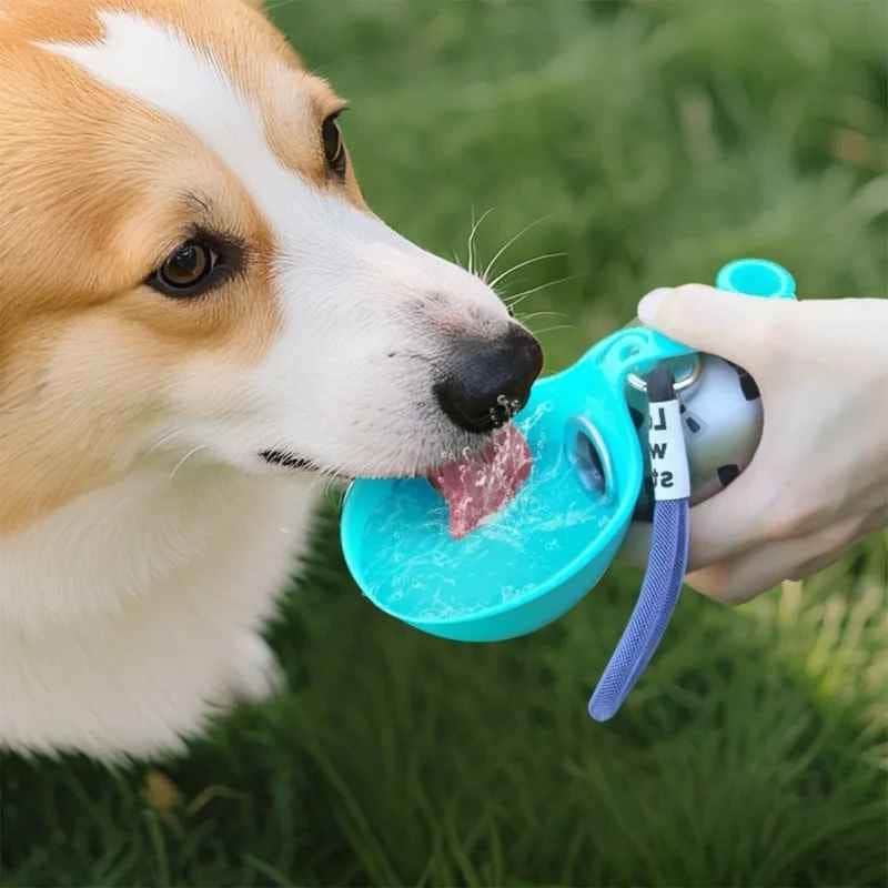 Gourde pour Chien | JappySplash™ INOX - Jappy Toutou