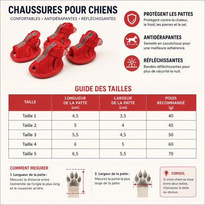 Chaussures chien | Luxe JappyElite™ : guide des grandeurs