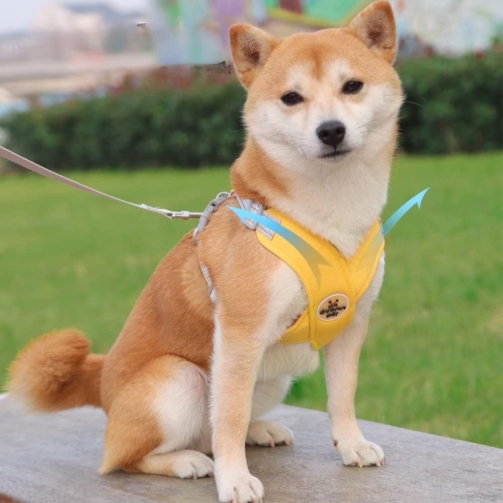 Harnais anti traction Chien : La Solution Ultime pour des Promenades Confortables et Sécurisées - Jappy Toutou