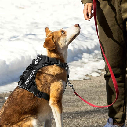 Harnais chien | Anti - Traction JappyWouf'Balade™ - Jappy Toutou