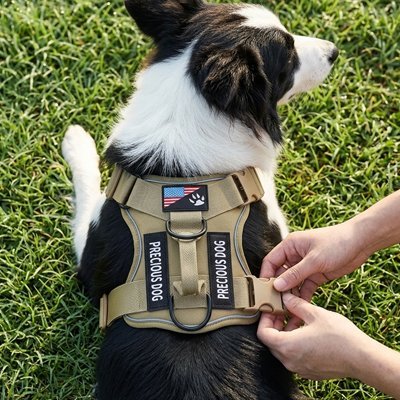 Harnais chien | Anti - Traction JappyWouf'Balade™ - Jappy Toutou