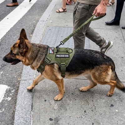 Harnais chien | Anti - Traction JappyWouf'Balade™ - Jappy Toutou
