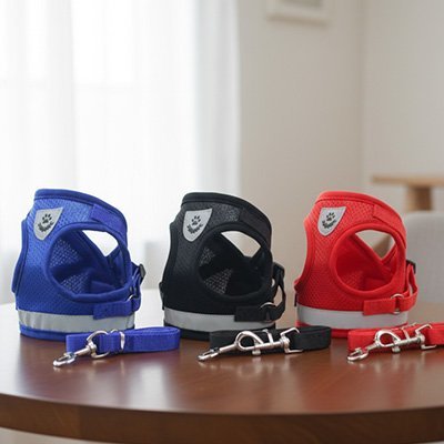 Harnais chien anti-traction| Trot'Toutou™ - Jappy Toutou