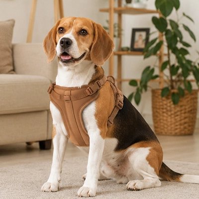 Harnais chien • JappyRythmi™ :  Conception ergonomique