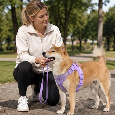 Harnais chien • JappyRythmi™ : Sangles ajustables