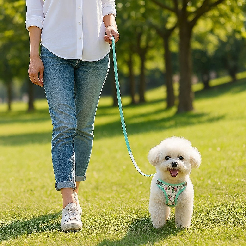 Harnais petit chien | Éclat-Floral™ - Jappy Toutou