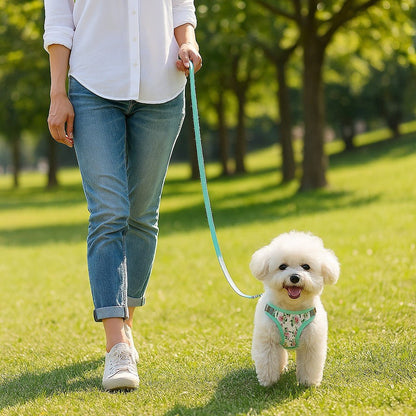 Harnais petit chien | Éclat-Floral™ - Jappy Toutou