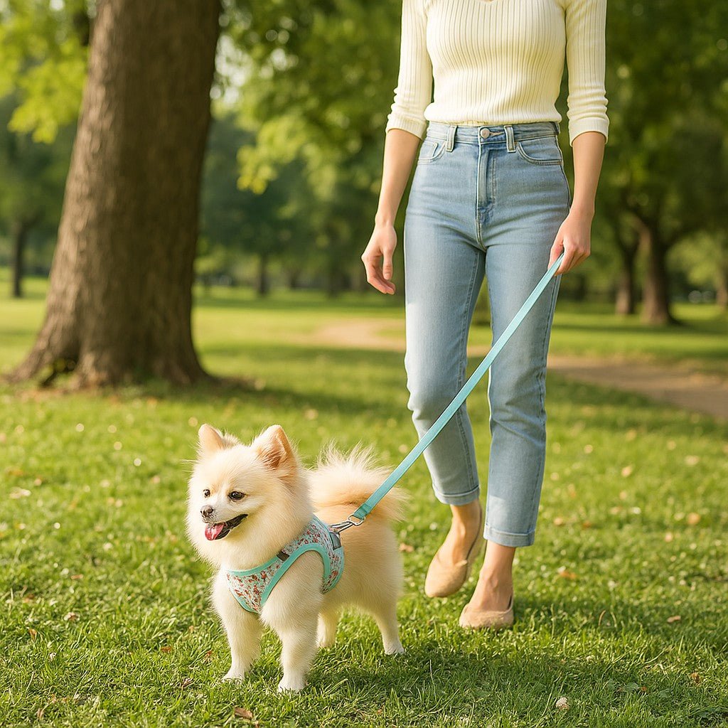 Harnais petit chien | Éclat-Floral™ - Jappy Toutou